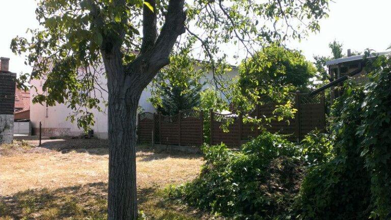 ***Sonniges Grundstück mit EFH / Abrisshaus***