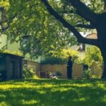 1759389408_Baumbestand-Nachbarn